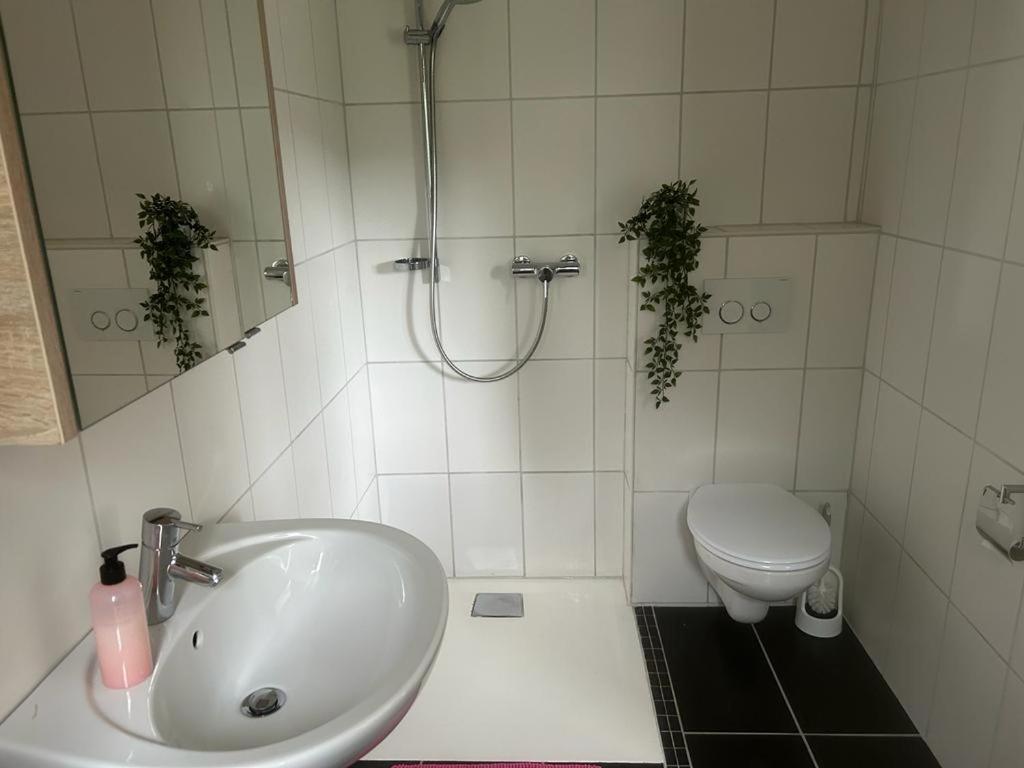 Ferienwohnung An Der Loipe Lichtenstein  外观 照片