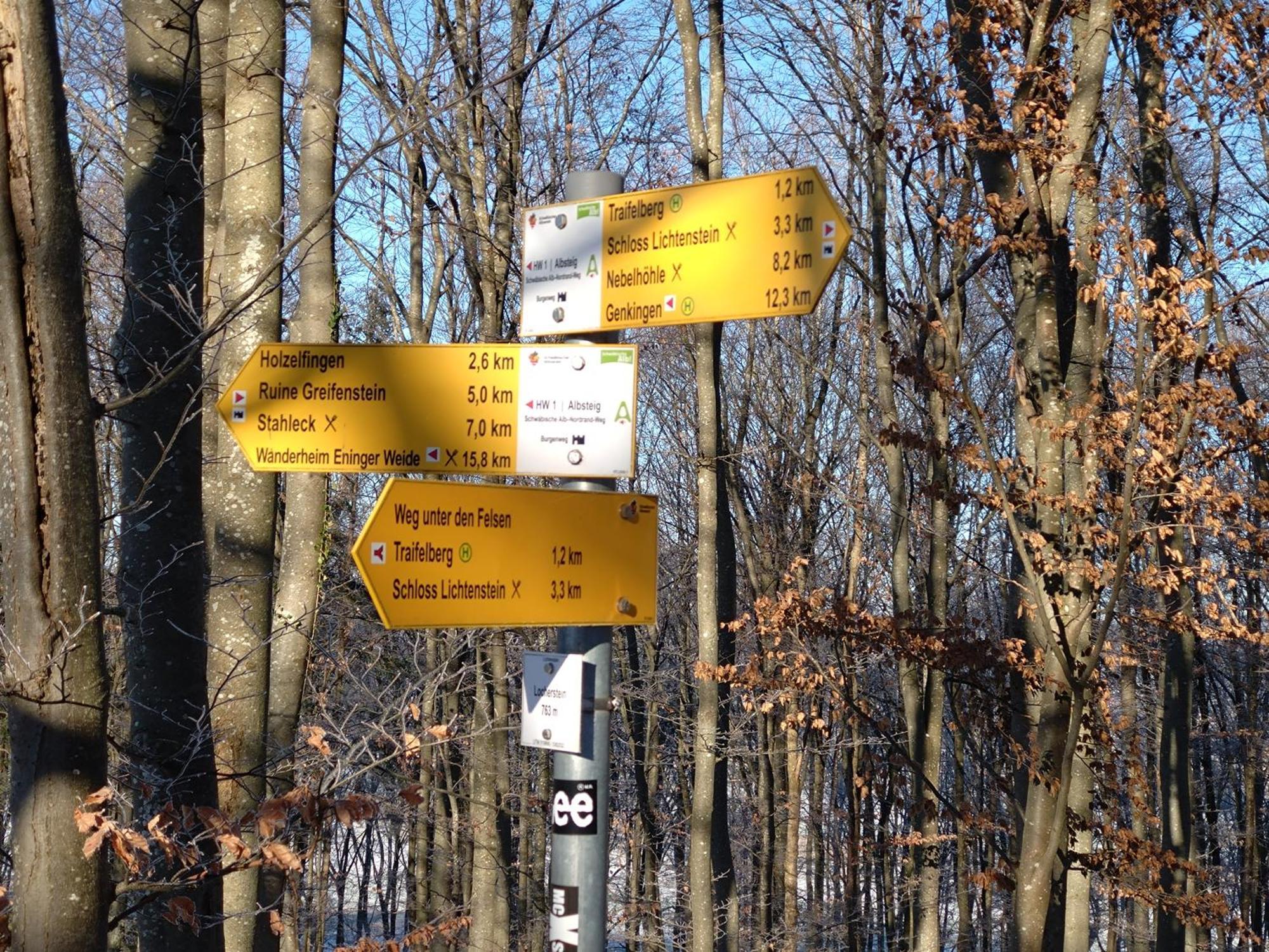 Ferienwohnung An Der Loipe Lichtenstein  外观 照片