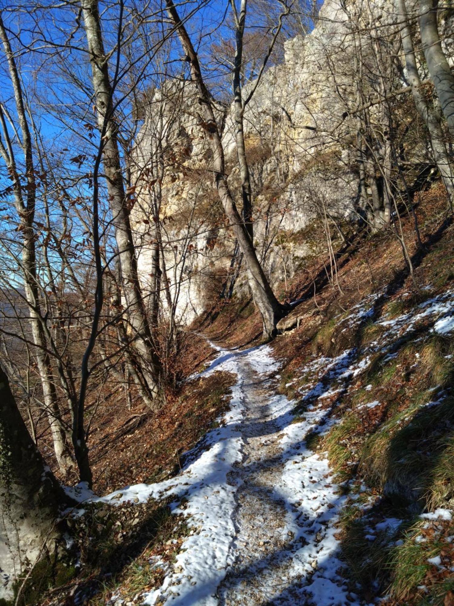 Ferienwohnung An Der Loipe Lichtenstein  外观 照片